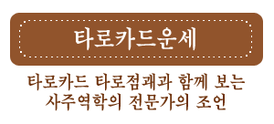 �̷������ �